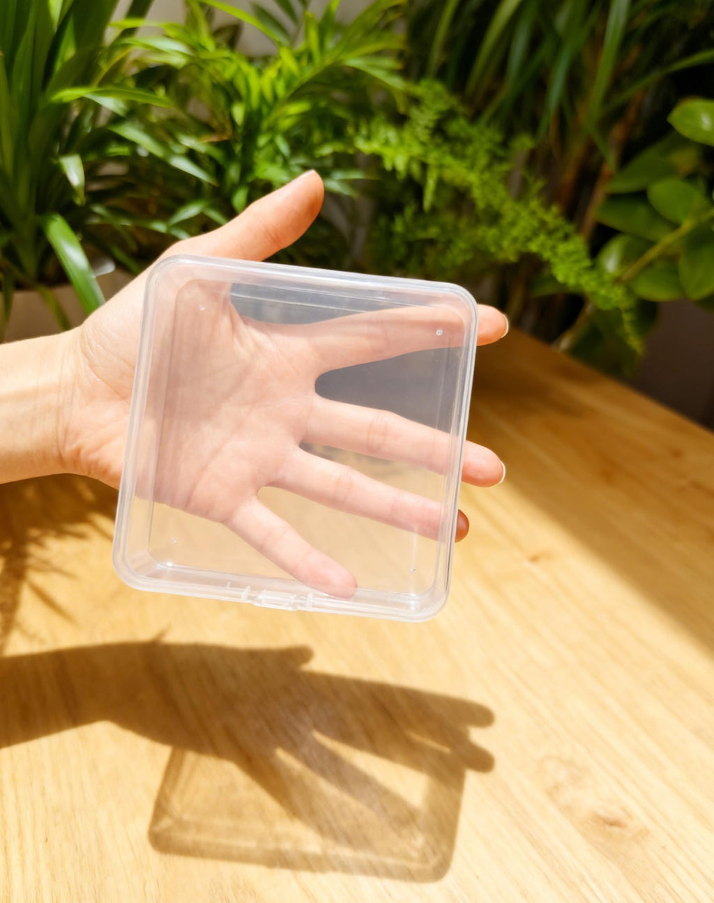LJY 24 Pack Plastic Storage Boxes with Lids 12.5 x 12.5 x 3.5 cm, Clear - image 3