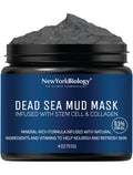 New York Biology Dead Sea Mud Mask with Stem Cell and Collagen | 113g
