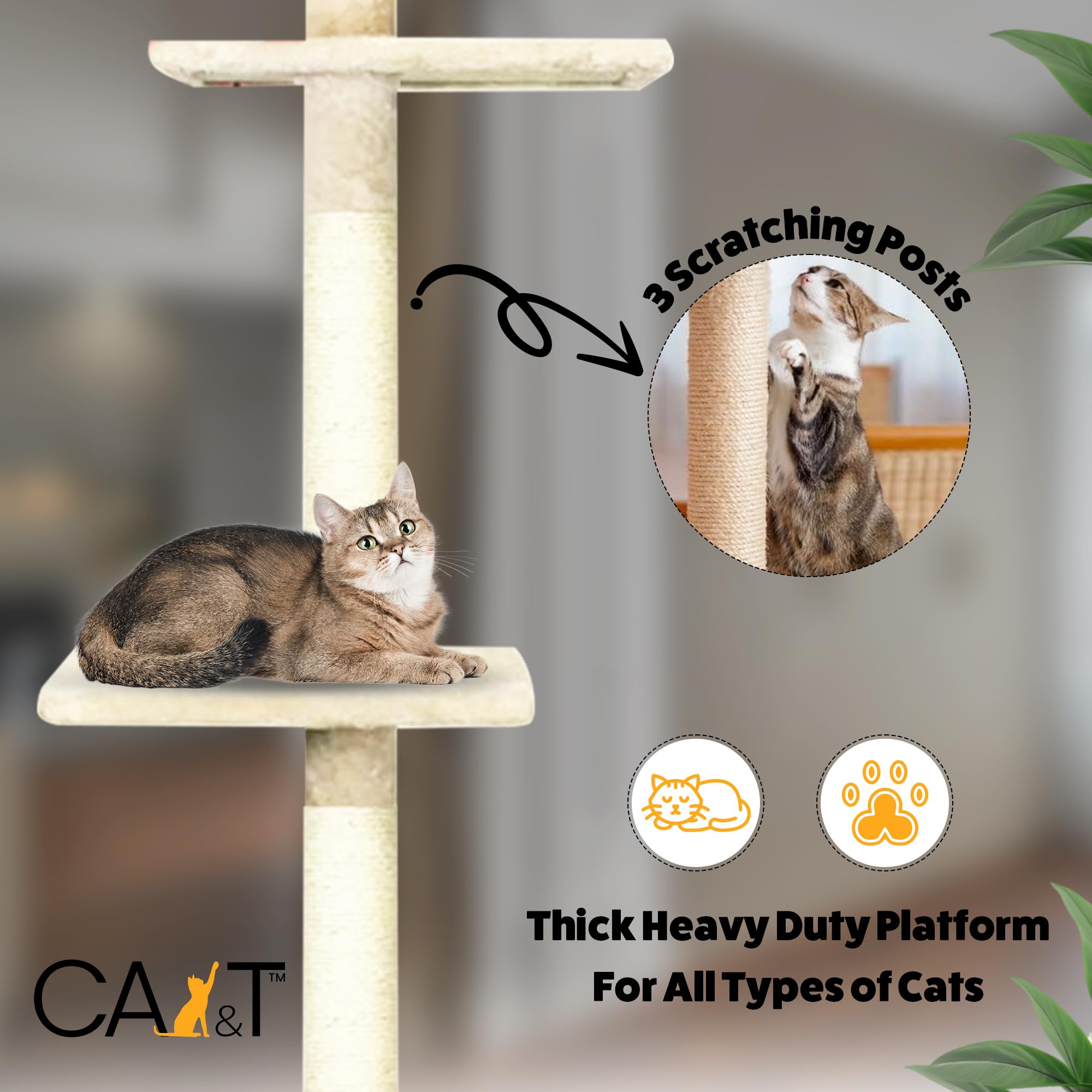 CA&T Floor to Ceiling Cat Tree – Height Adjustable Plush Climbing Tower