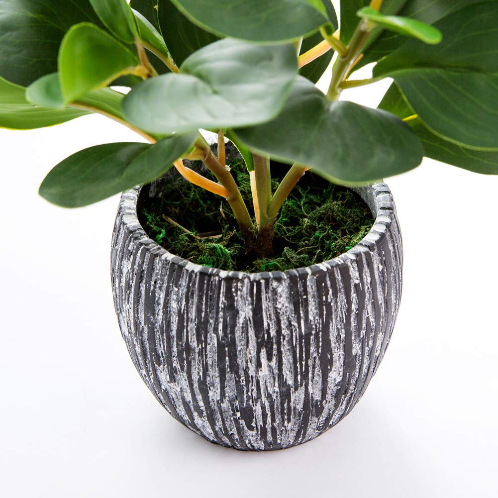 Artificial Fiddle Leaf Fig Plant in 4.5" Black Cement Planter