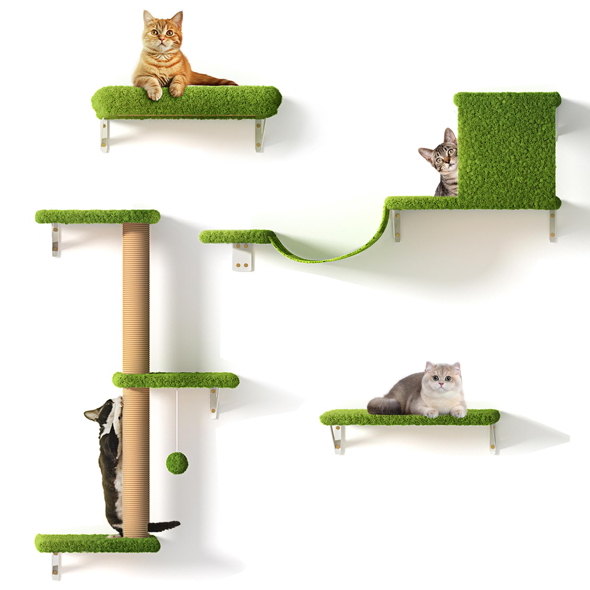 FUKUMARU 4-in-1 Cat Wall Shelves Set | Wooden Climbing Wall with Bed - Green
