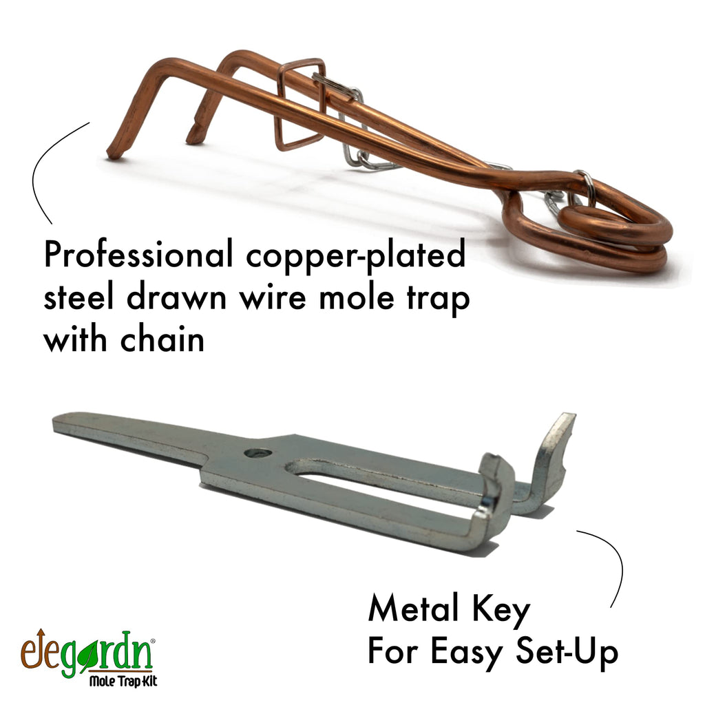 Elegardn 10-Piece Putange Mole Trap Kit - Professional Vole Control