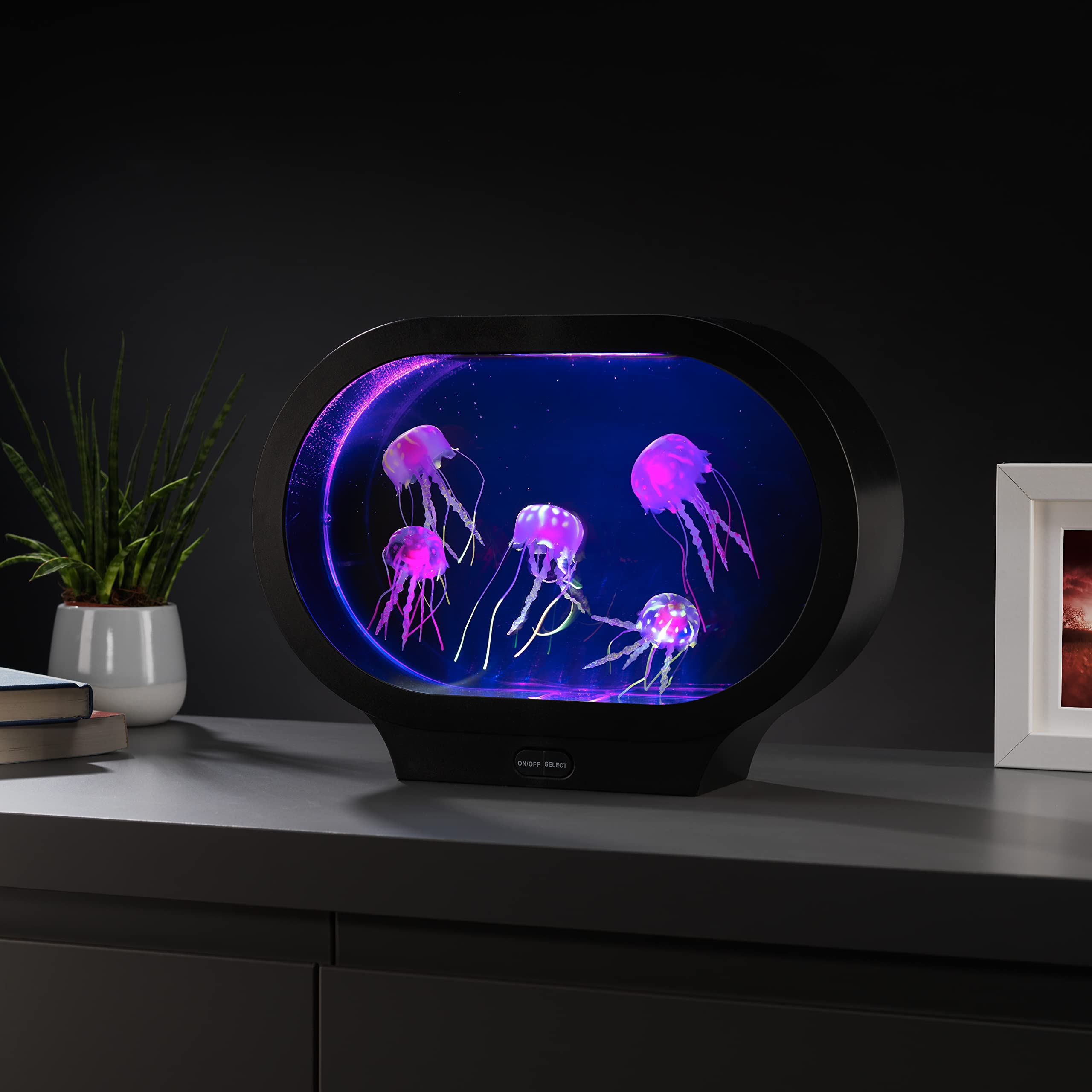 RED5 Oval Jellyfish Tank Lamp – RGB LED Colour Changing Mood Light