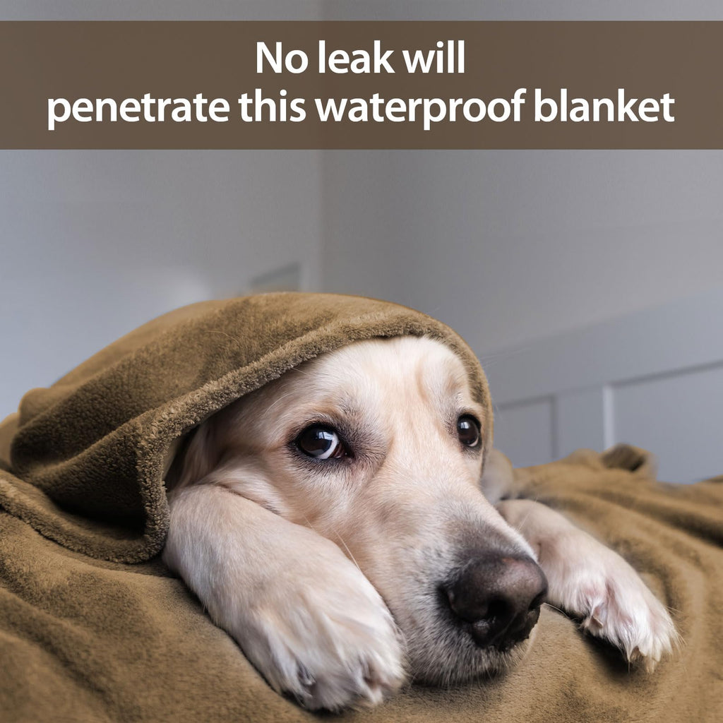 YISURE Waterproof Splash Blanket for Couples - King Size 90x80 Flannel