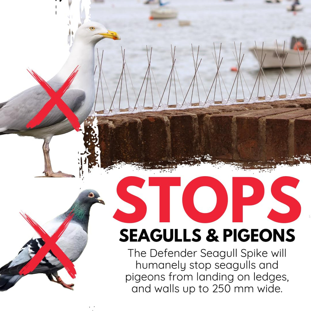 Stainless Steel Seagull Bird Spikes Deterrent Kit – 3 Metre