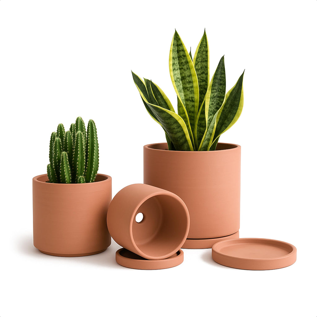 D'vine Dev Terracotta Succulent Planter Pots with Drainage - Set of 3