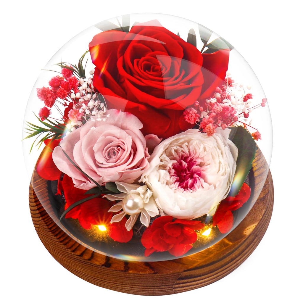 Jolof Store Preserved Eternal Rose in Glass Dome – Real Red Flower Gift