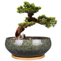 Jolof Store 8 Inch Ceramic Bonsai Planter Pot with Bamboo Tray – Green