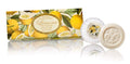 Fiorentino Italian Lemon Soap Gift Box - 3 Handmade Tuscan Round Soaps