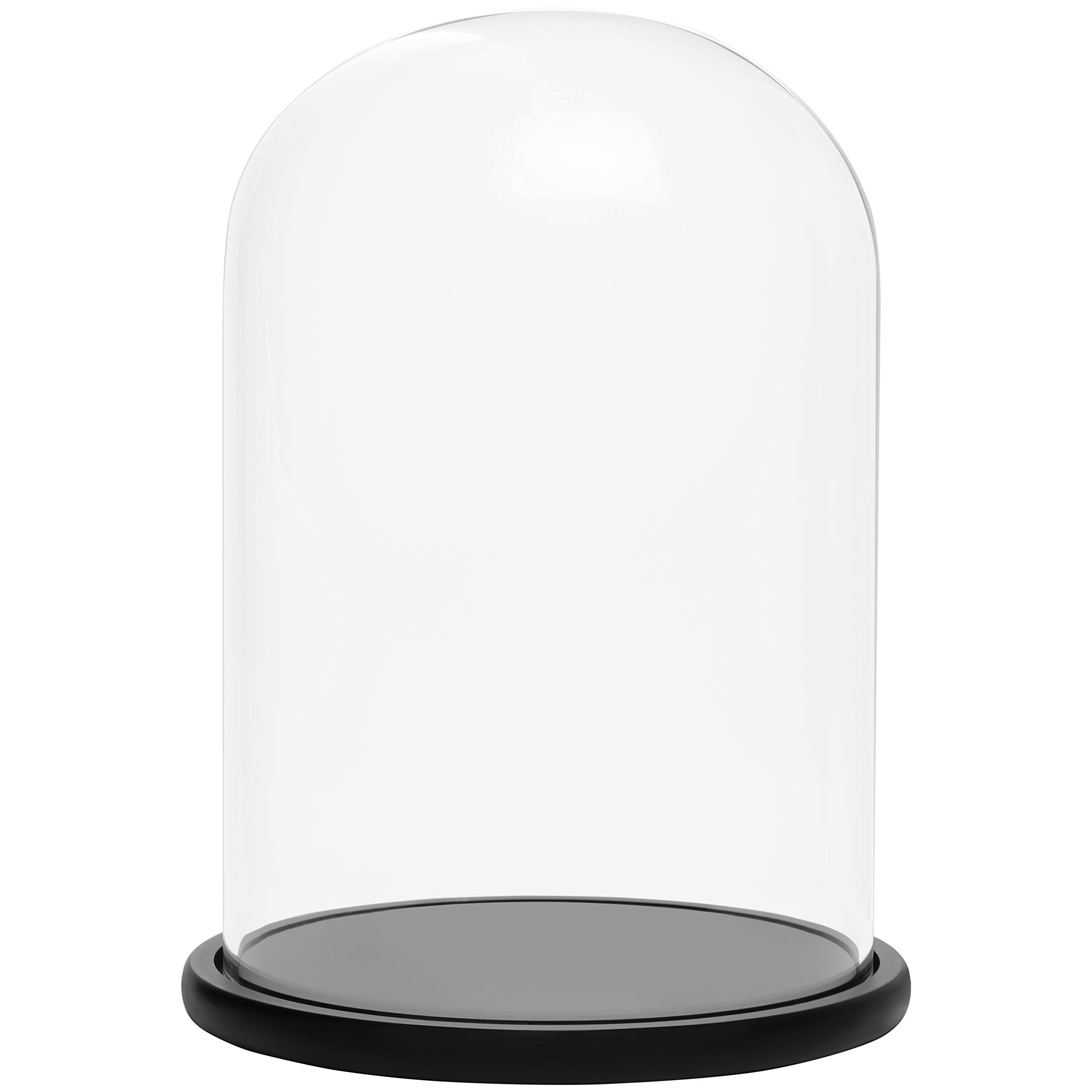 Belle Vous Glass Dome Cloche Bell Jar with Black Wooden Base - 30cm