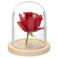 sourcing map Glass Cloche Display Dome, 4.7" x 3.5" Glass Dome Display Case Wood Base Tabletop Jar Case Decorative Bell Jar for Plant Home Decor - image 1