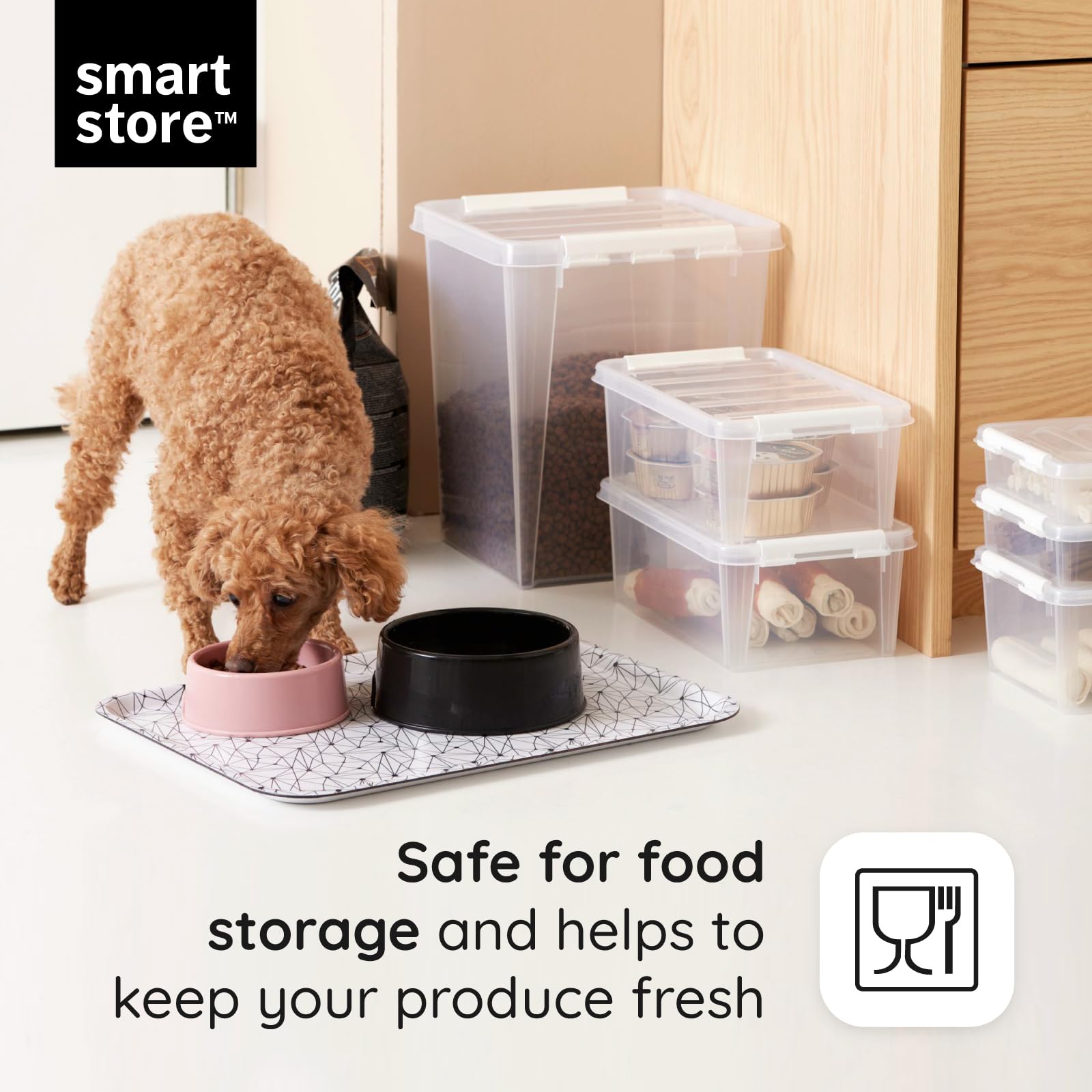 SmartStore 14L Plastic Storage Boxes with Lids | Set of 10 | Transparent
