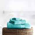 GC Gaveno Cavailia 100% Egyptian Cotton 700 GSM Jumbo Bath Sheet - 2 Pack