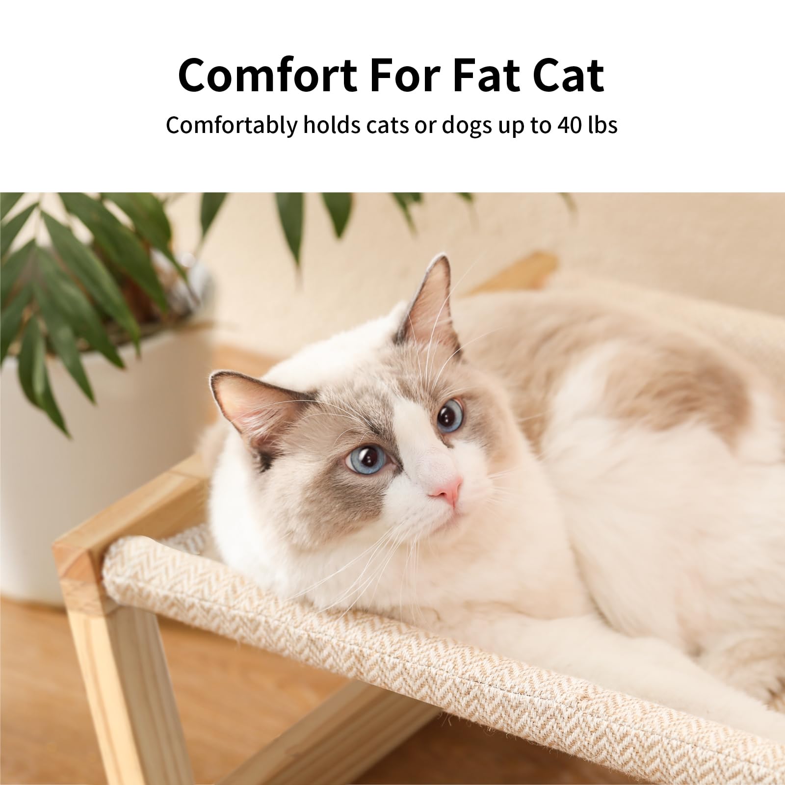 FUKUMARU Elevated Cat Hammock | Wooden Breathable Pet Bed for Small Dogs