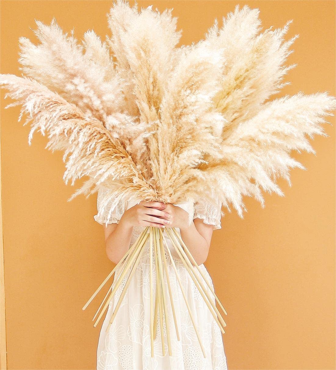 Bannifll 46-inch Natural Pampas Grass – 10 Stems Tall Beige Boho Decor