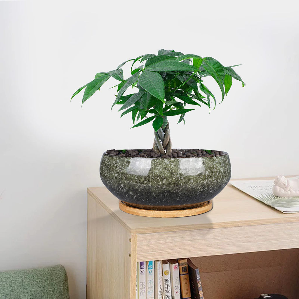 Jolof Store 8 Inch Ceramic Bonsai Planter Pot with Bamboo Tray – Green