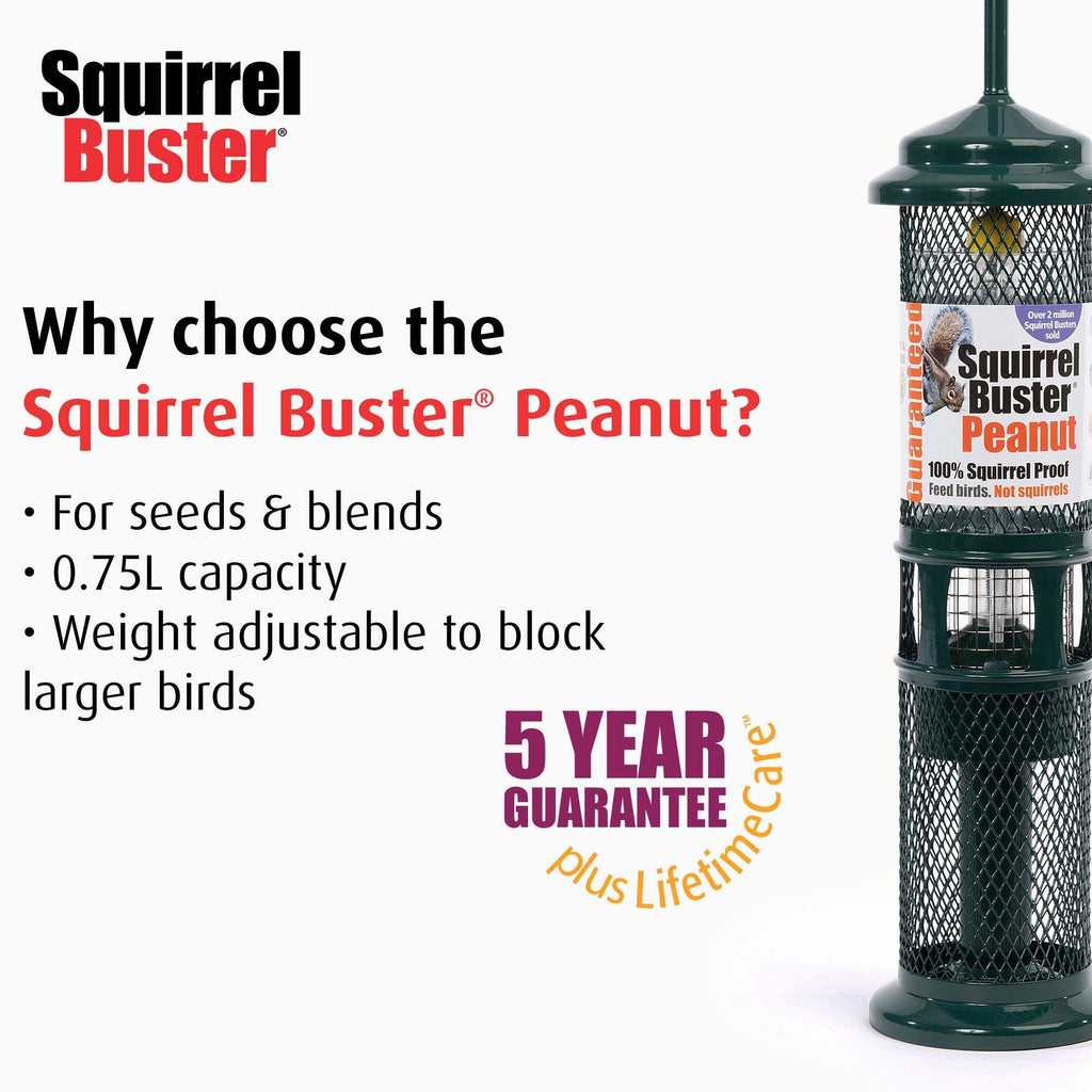 Jacobi Jayne Squirrel Buster Peanut Bird Feeder – Metal, Green, 750ml