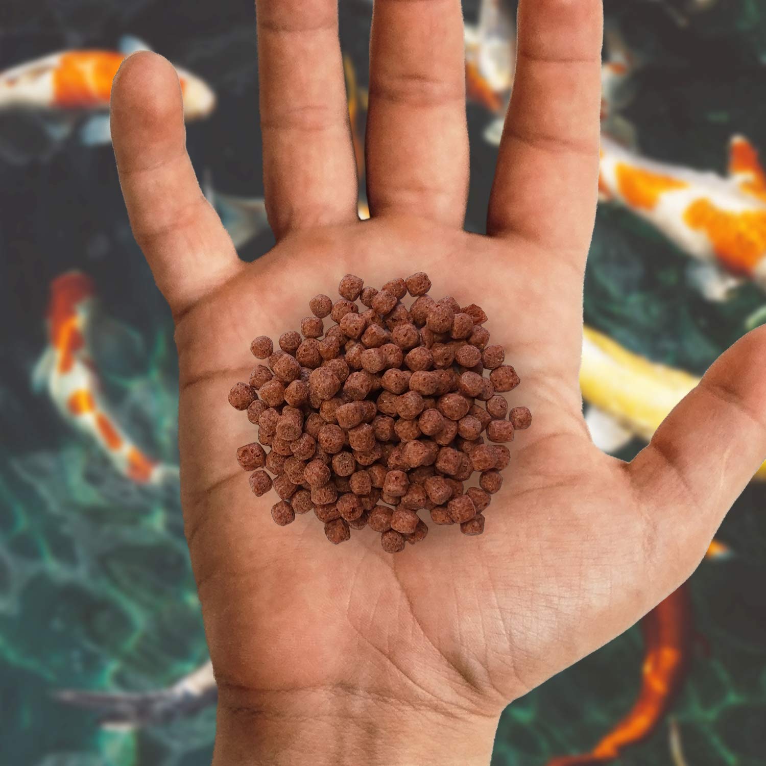 Nishikoi Growth Koi & Pond Fish Food - High Protein Medium Pellets - 2.5kg