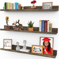 Icona Bay 36" Floating Shelves | Set of 3 Walnut Brown Modern Wall Ledges