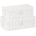 Vagusicc Storage Boxes with Lids, Handwoven Set of 2 Wicker Storage Baskets for Organizing, Nesting Storage Basket for Shelves
