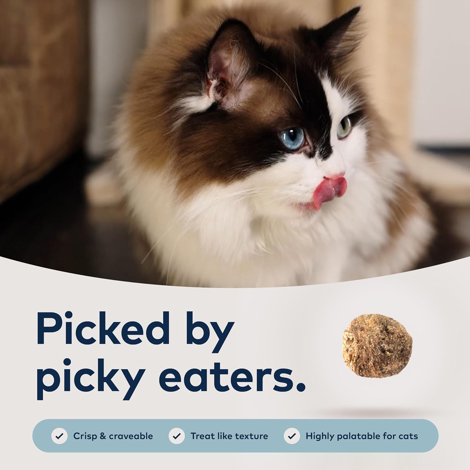Chicken & Mackerel Grain-Free High Protein Cat Food - 800g