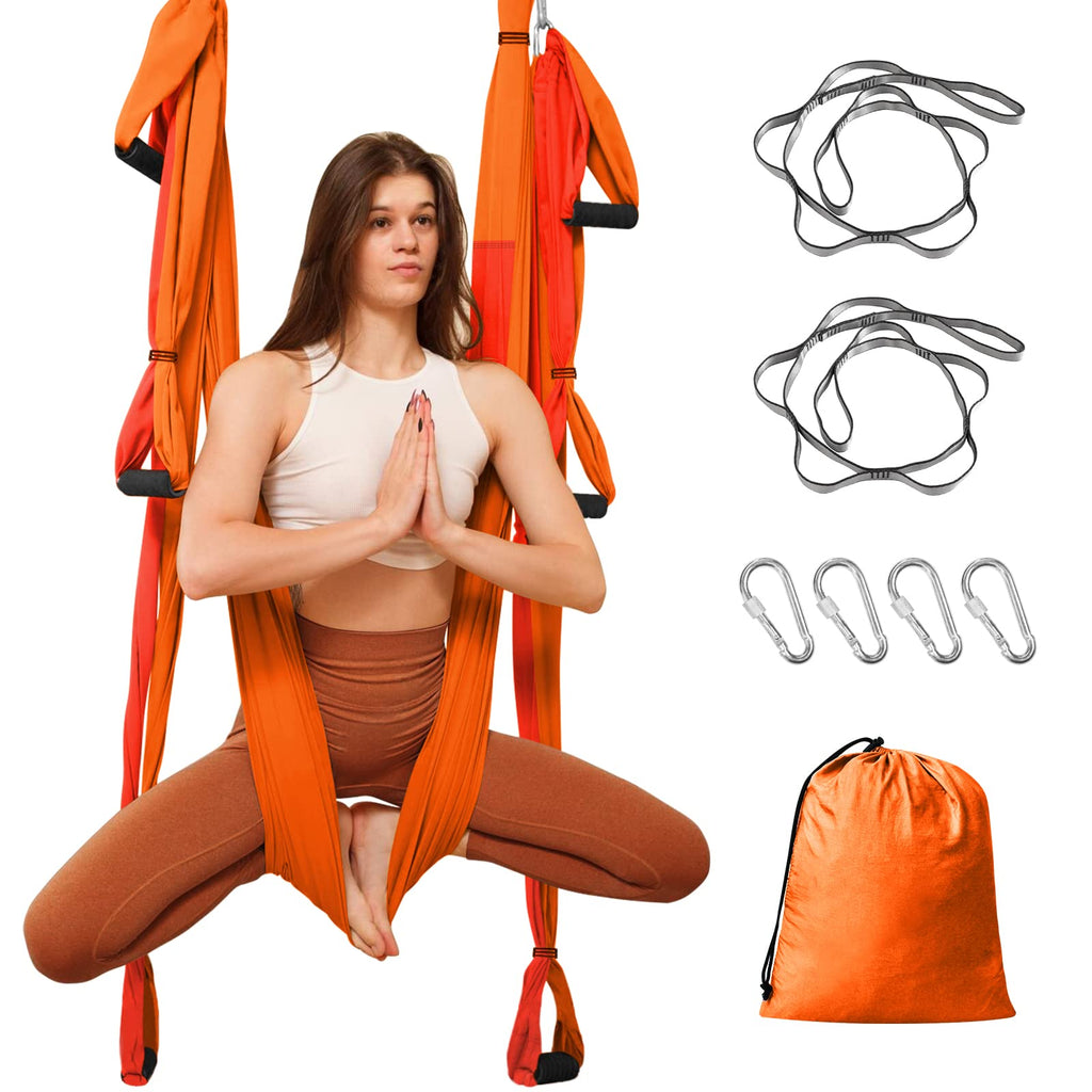 Leogreen Aerial Yoga Swing Set | 660lb Capacity Nylon Hammock Trapeze