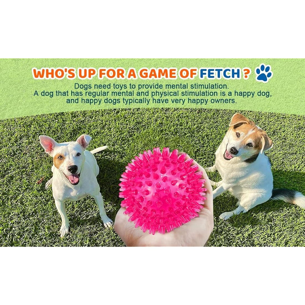 Jolof Store Squeaky Dog Ball Toys – 3-Pack Spiky Rubber Fetch Toys