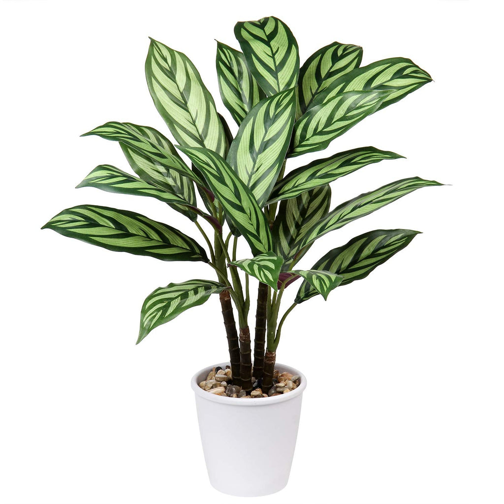 Briful 24.8" Artificial Calathea Majestica Exotica Plant in Ceramic Pot