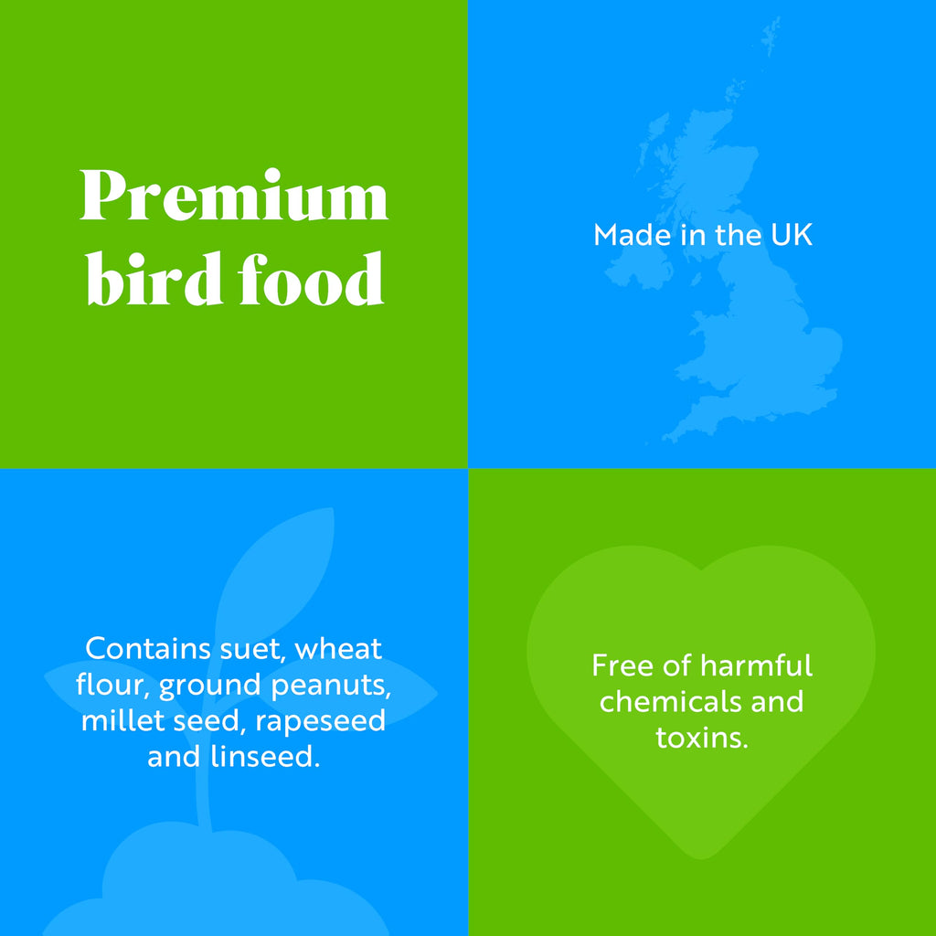 RSPB High Energy Suet Fat Balls for Wild Birds - Box of 160