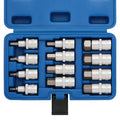 CASOMAN 12-Piece 1/2-Inch Drive Metric Hex Bit Socket Set, H5-H22