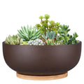Thirtypot 25cm Terracotta Planter – Large Succulent Pot with Saucer