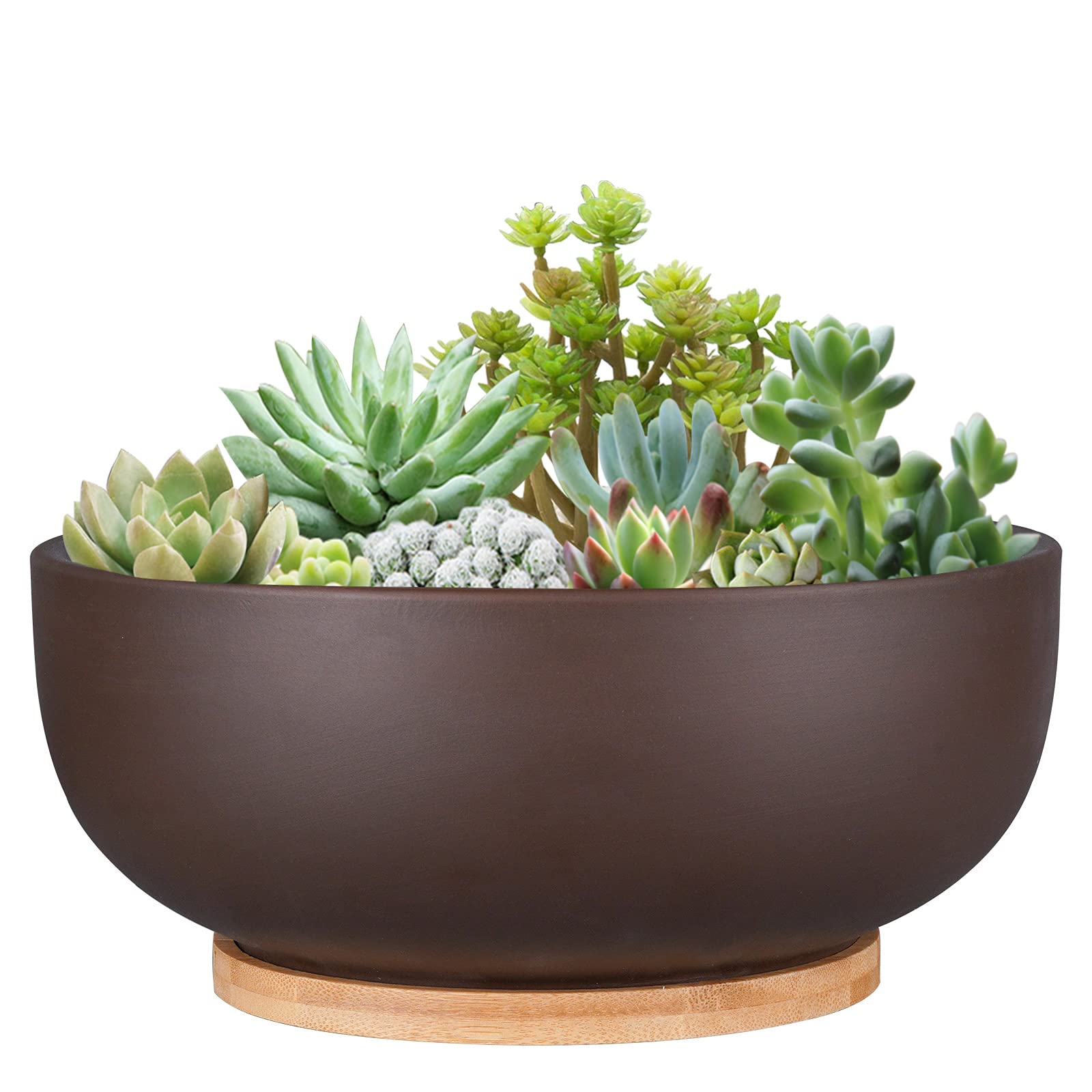 Thirtypot 25cm Terracotta Planter – Large Succulent Pot with Saucer