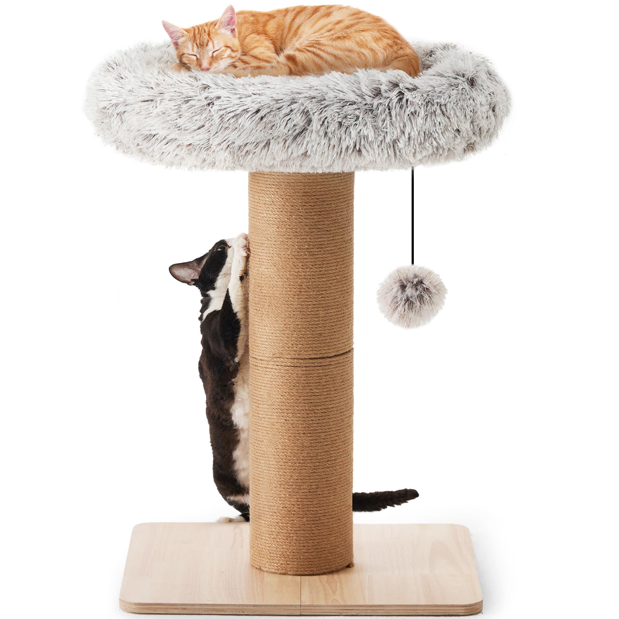 FUKUMARU Cat Scratching Post with Bed | Solid Wood Jute Cat Tower