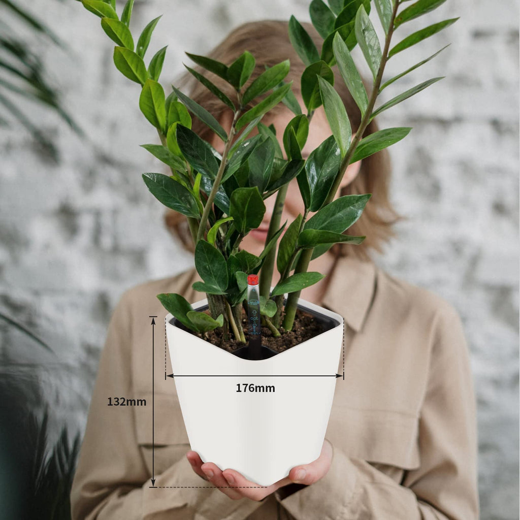 Jolof Store Self-Watering Pots with Water Level Indicator - 6 Pack