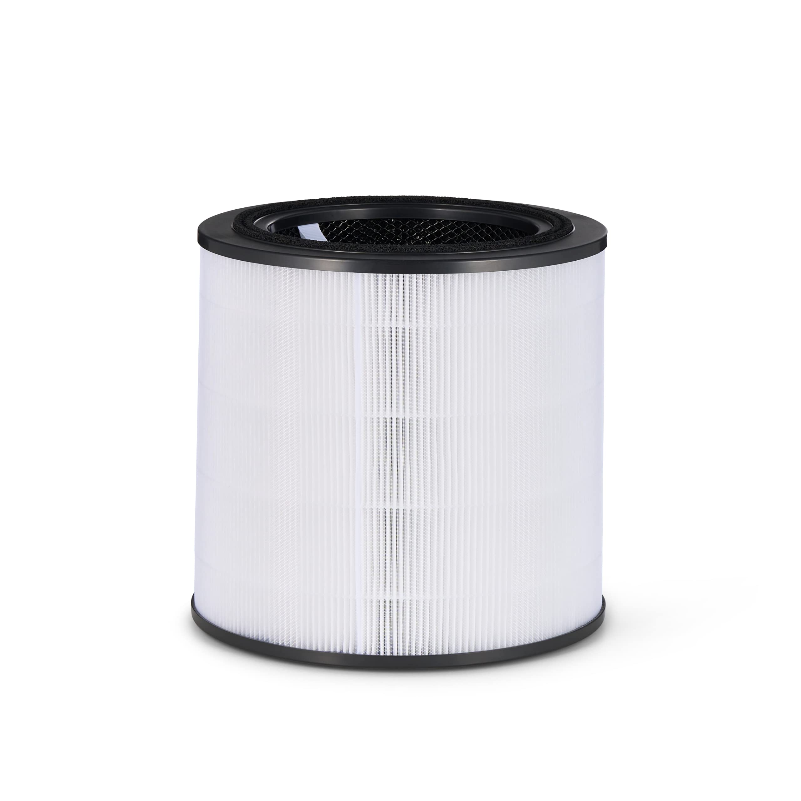 Bosch Air 2000 3-in-1 Replacement Filter | HEPA & Activated Carbon