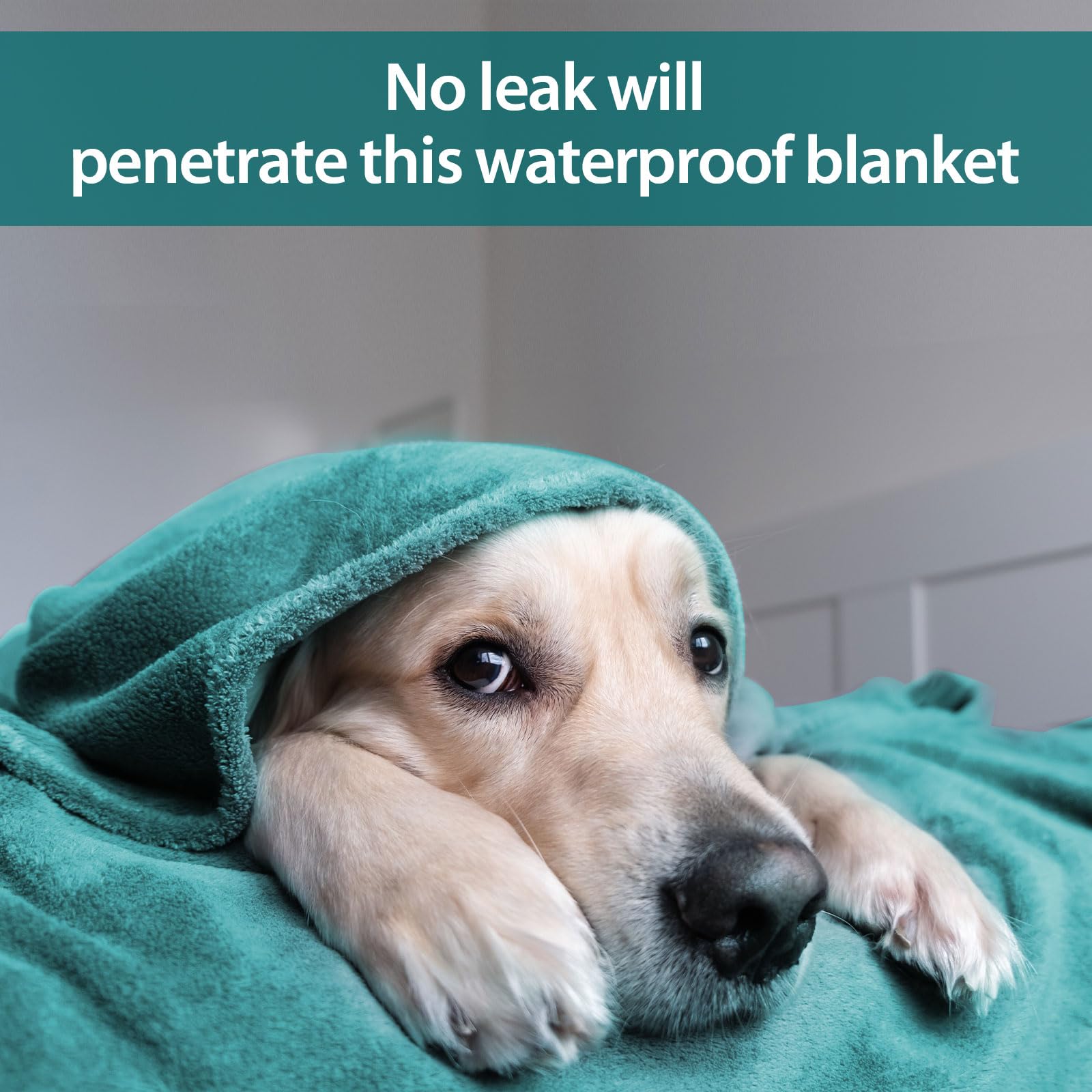 Waterproof Intimacy Blanket - King Size 90x80 Flannel - Green