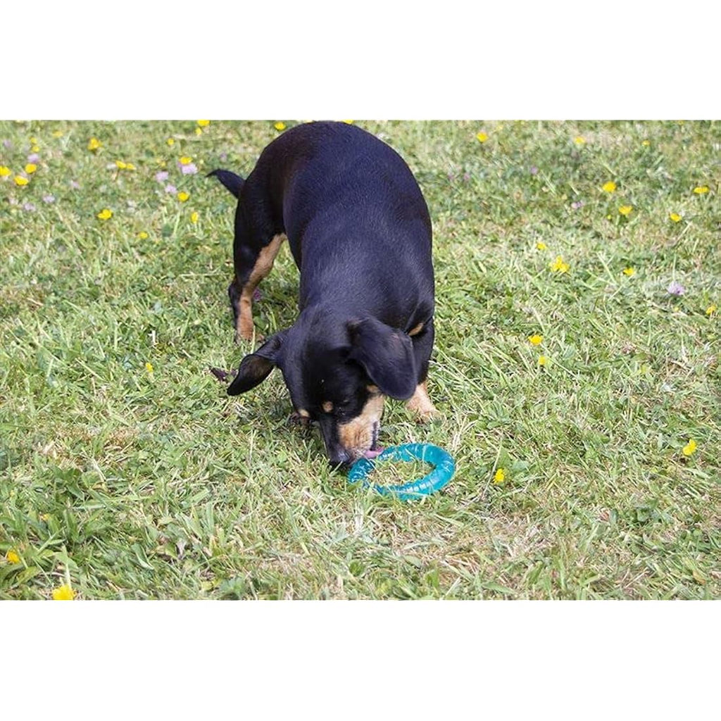 Rosewood BioSafe Puppy Ring – Antimicrobial Teething Chew Toy, Blue