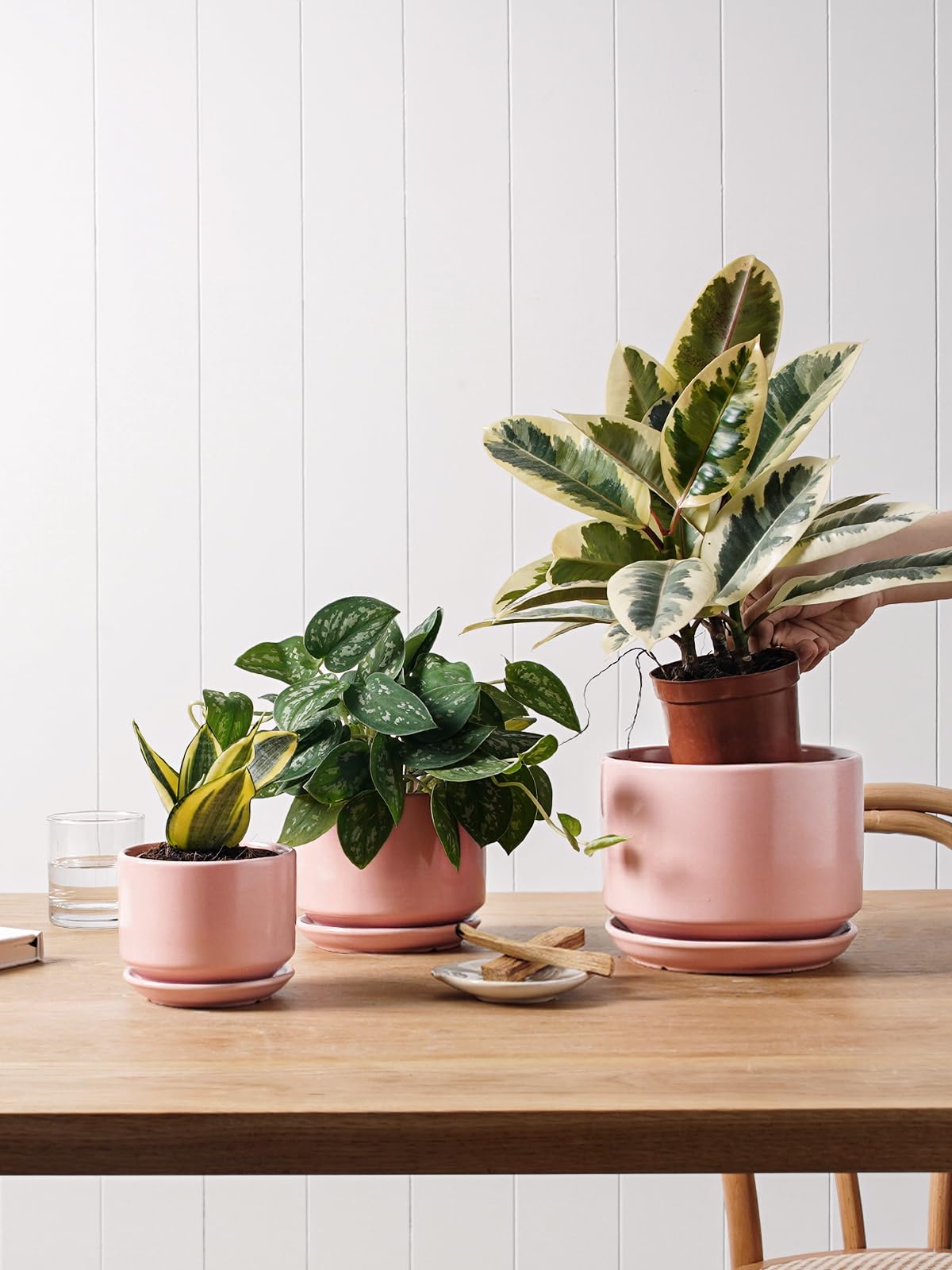 LE TAUCI Ceramic Plant Pots | Set of 3 Indoor Planters with Drainage - Pink