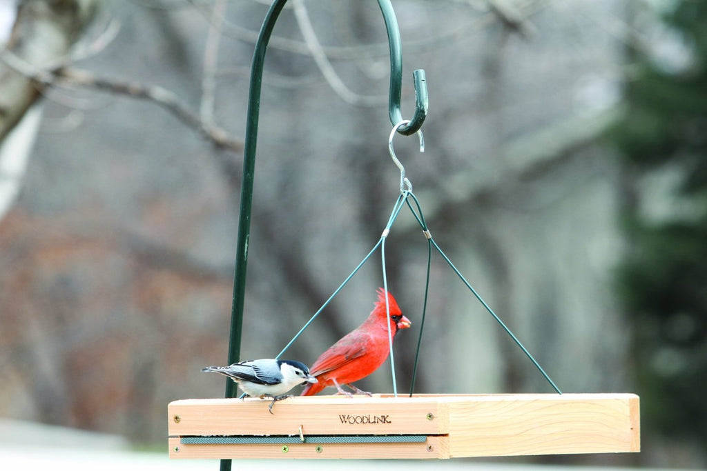 Woodlink Cedar 3-in-1 Platform Bird Feeder | 3lb Seed Capacity