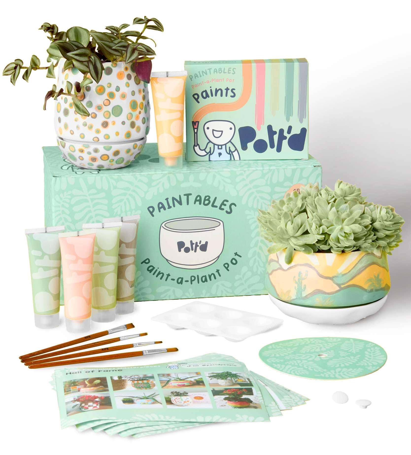 Pott’d DIY Pottery Painting Kit - Ceramic Plant Pot Set for Adults
