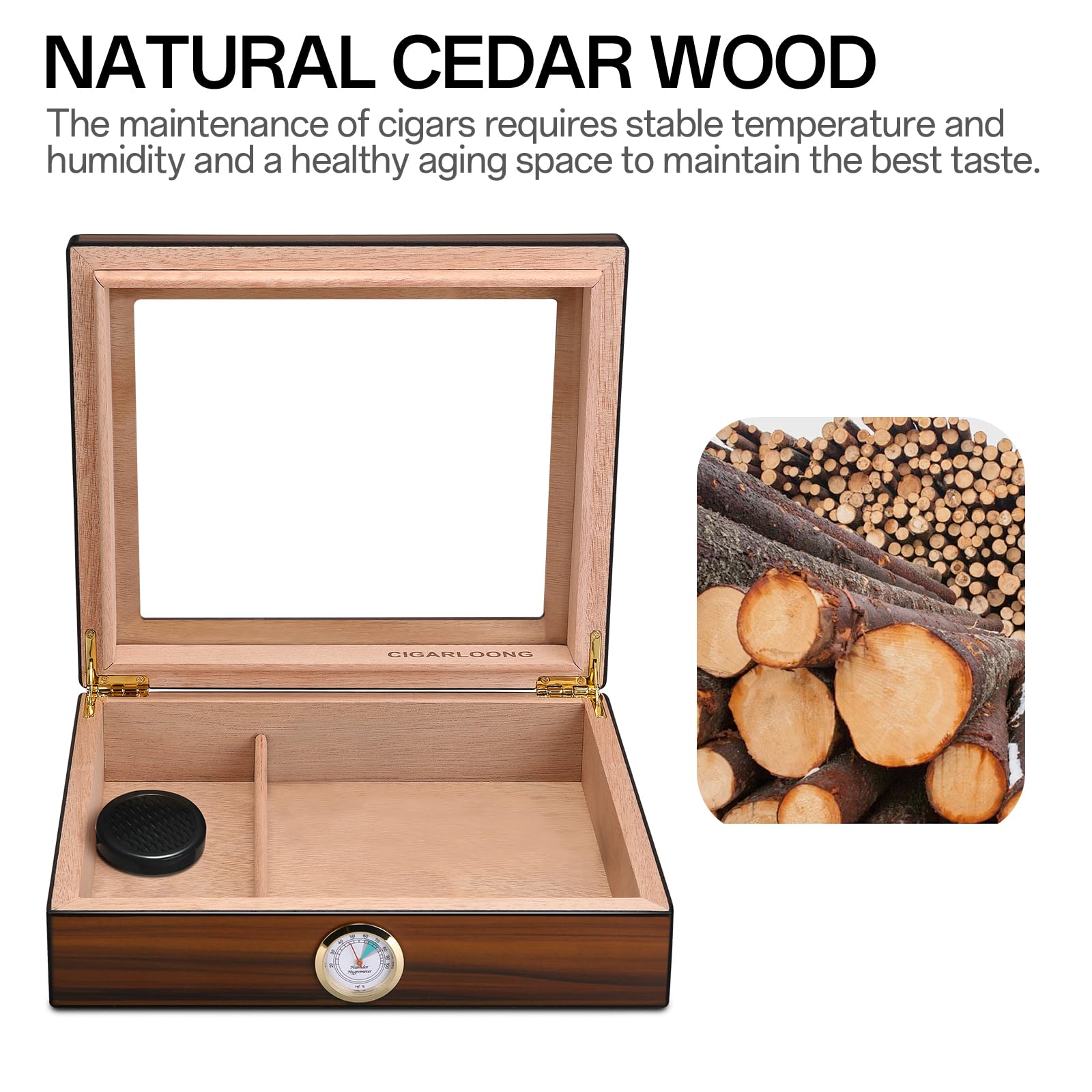 CIGARLOONG Cedar Wood Cigar Humidor | Brown Desktop Box with Glass Top