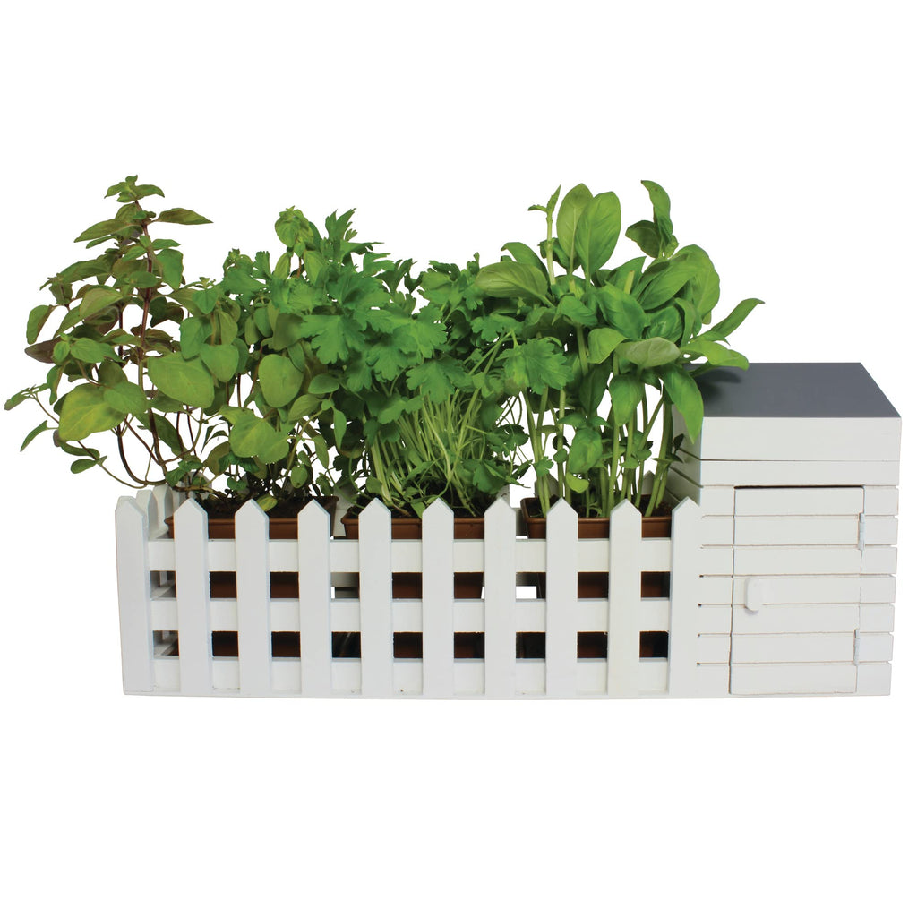 Oliphant Indoor Allotment Herb Garden Gift Set - Wooden Windowsill Kit