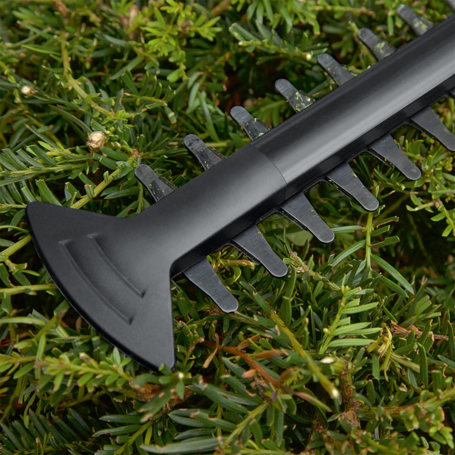 Bosch EasyHedgeCut 18V-52-13 Cordless Hedge Trimmer | 52cm Blade