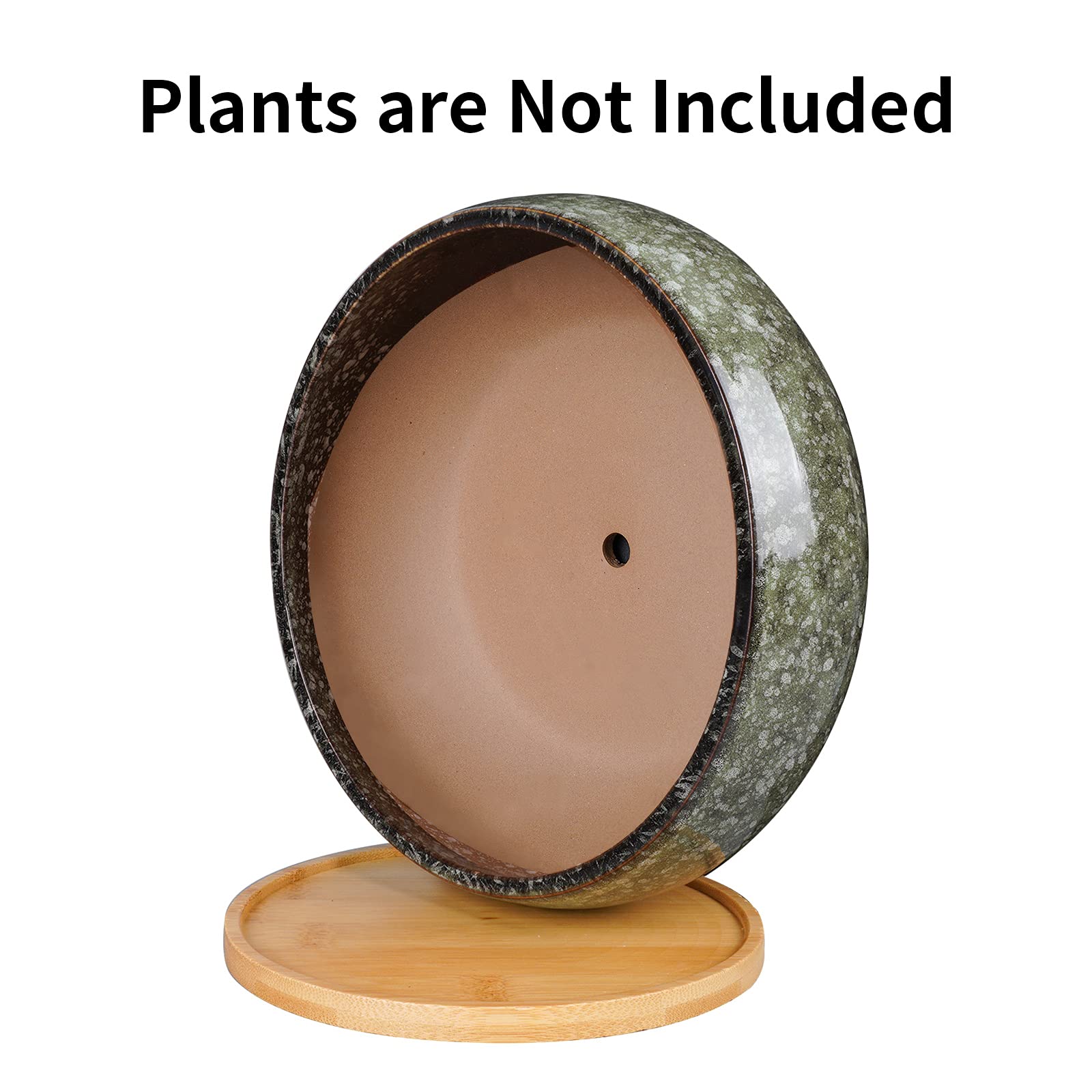 Jolof Store 8 Inch Ceramic Bonsai Planter Pot with Bamboo Tray – Green