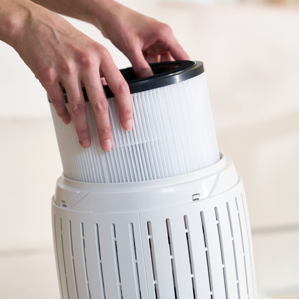 Bosch Air 2000 3-in-1 Replacement Filter | HEPA & Activated Carbon