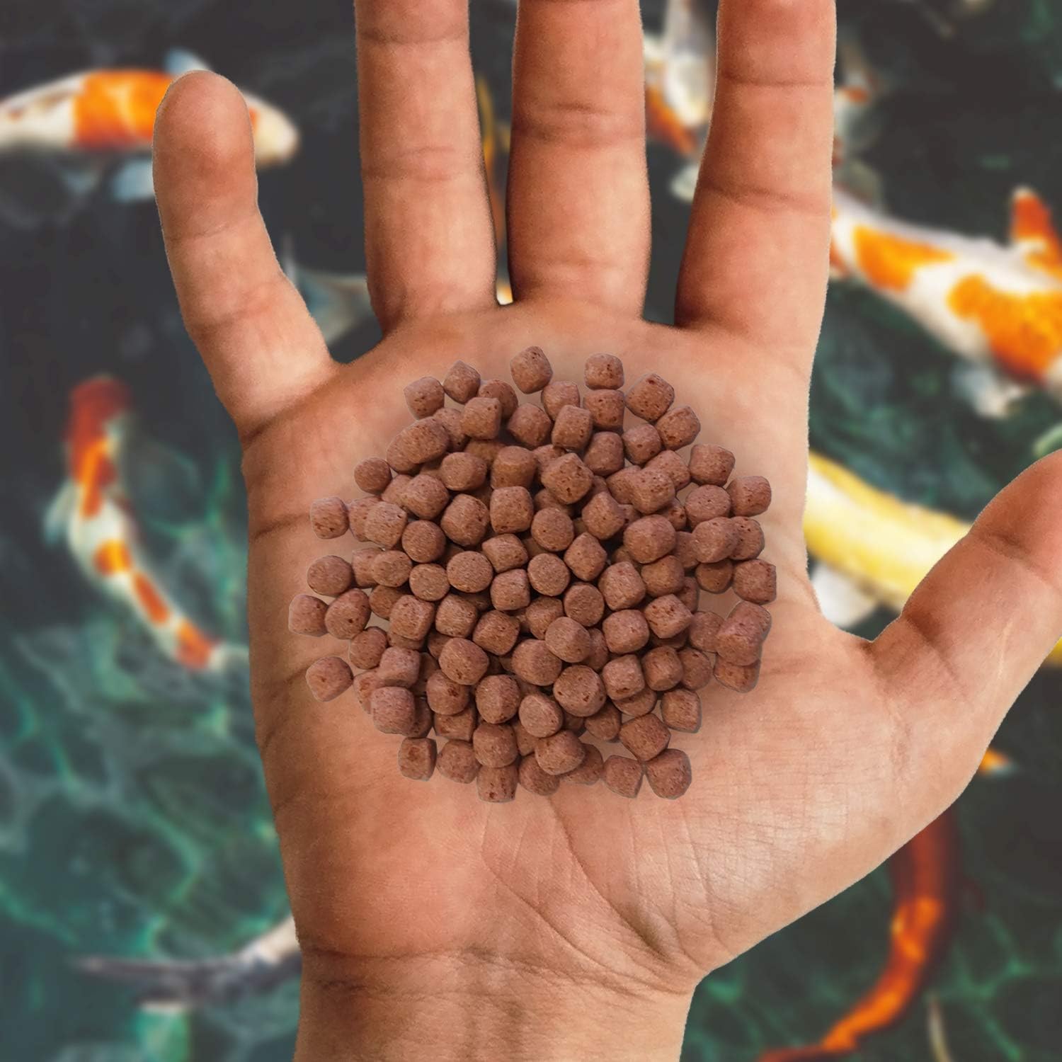 Nishikoi Growth Koi & Pond Fish Food - High Protein Large Pellets - 2.5kg