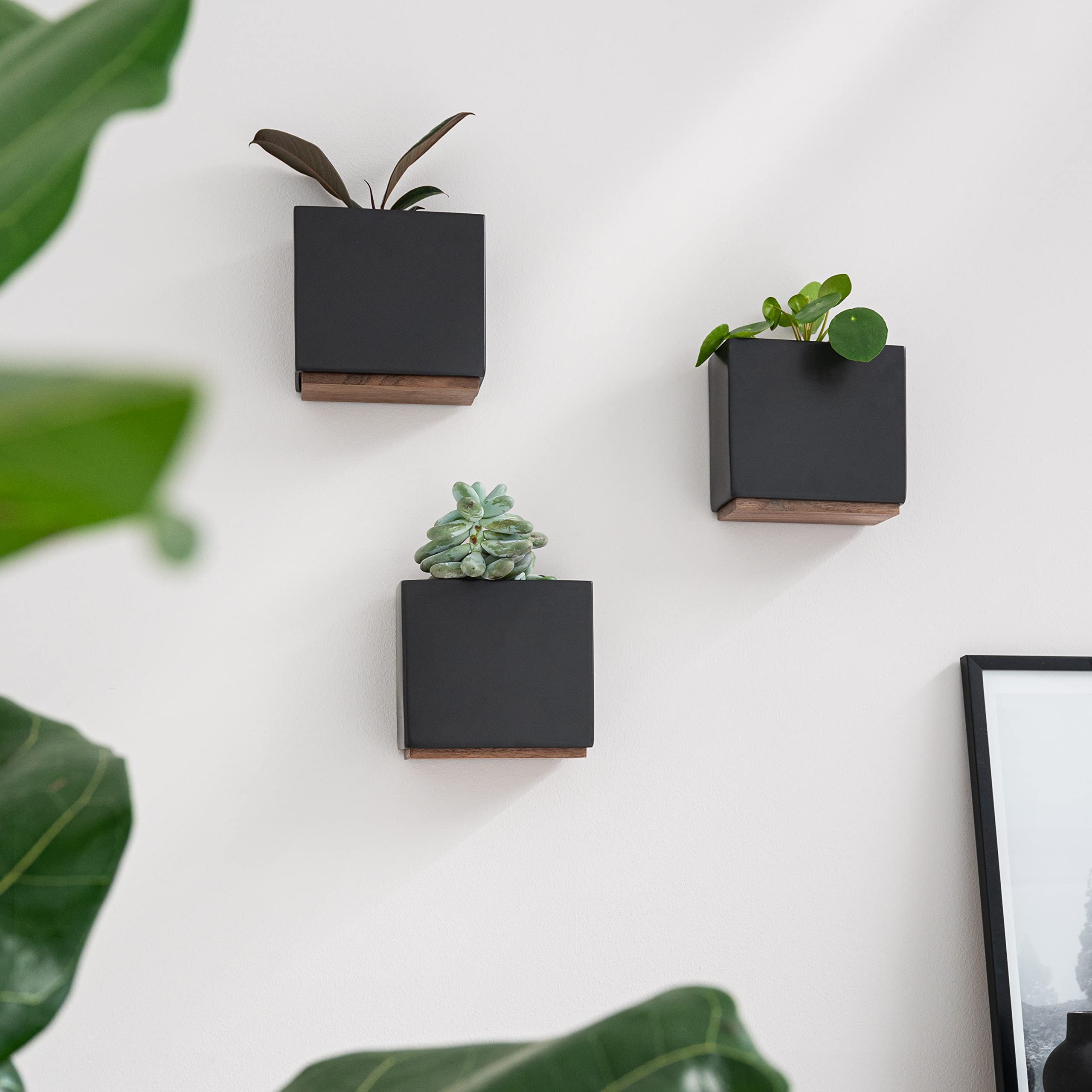 Kazai Alma Wall Planters | Set of 3 Resin & Wood Hanging Indoor Pots