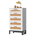 Mericonia 5-Drawer Rattan Dresser | Modern Boho Chest with Steel Base