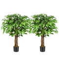 Keeplush 3ft Artificial Ficus Tree with Natural Wood Trunks - Set of 2