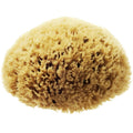 Hydrea London Natural Sea Sponge | 5-5.5" Unbleached Honeycomb Sponge